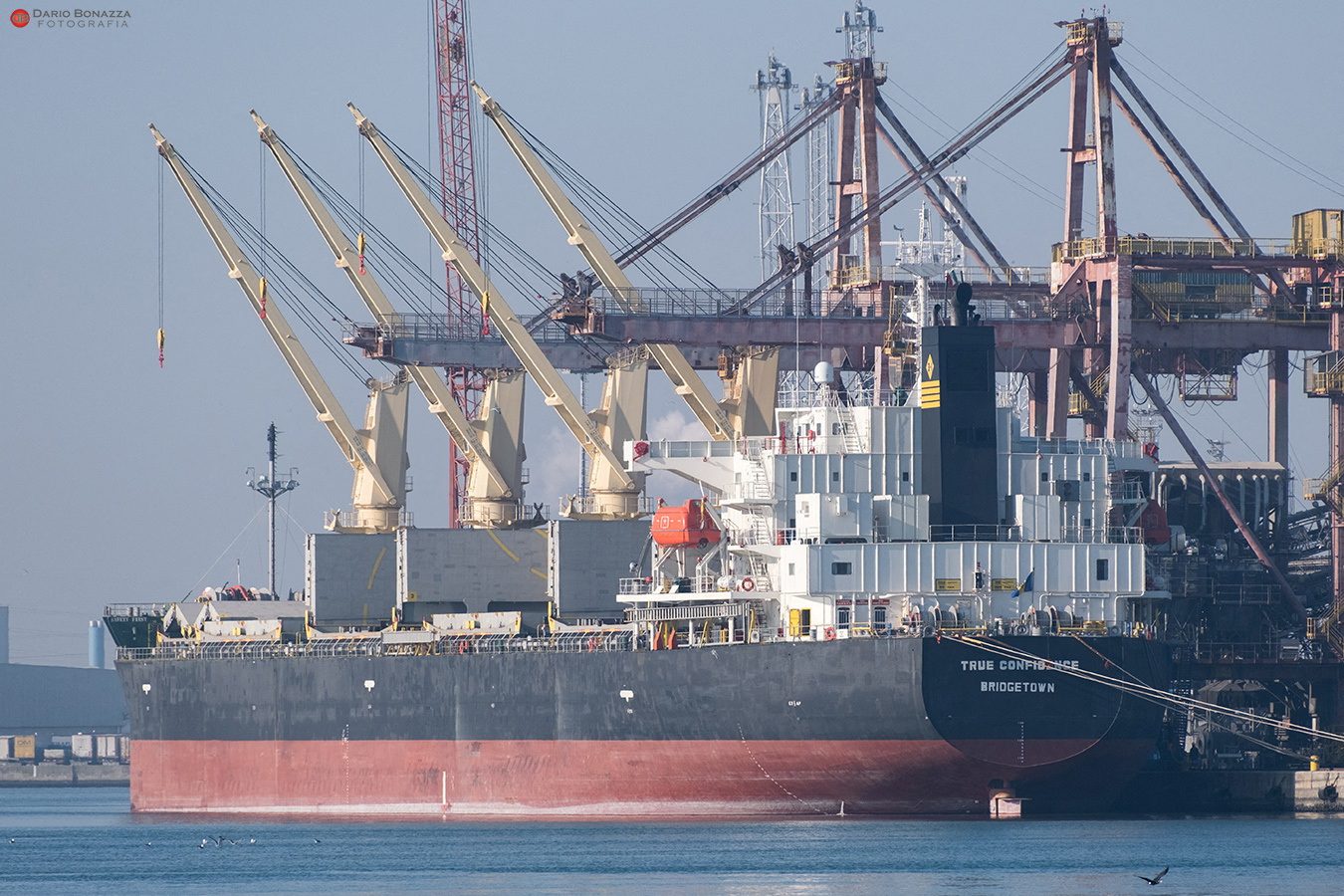 gcaptain.com