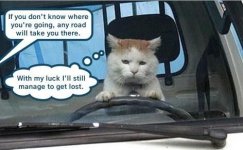 kitty-lacks-gps.jpeg