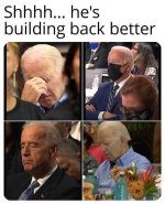 biden270.jpg