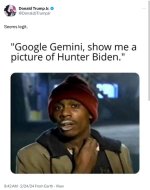 gemini3.jpg