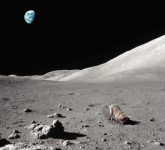 nasa2.gif