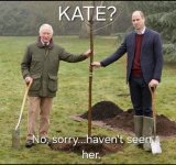 kate2.jpg