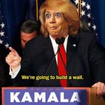 kamala217.jpg