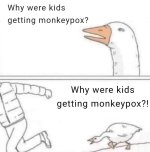 monkeypox22.jpg