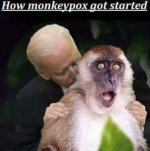 monkeypox26.jpg