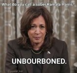 kamala472.jpg