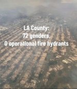 fires17.jpg