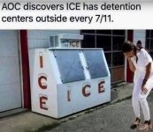 aoc3.jpg