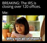 irs3.jpg