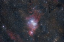 NGC2264-2025-03-01-P1S.jpg