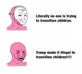 trans46.jpg