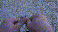 untitled7.GIF