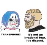 trans113.jpg