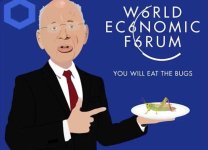 wef5.jpg