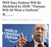 wef15.jpg