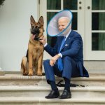 BidenDog.jpg