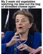 feinstein5.jpg