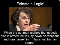 feinstein5.jpg