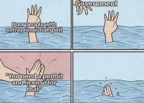 government74.jpg