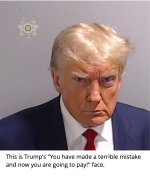 Trumps Mug Shot.png